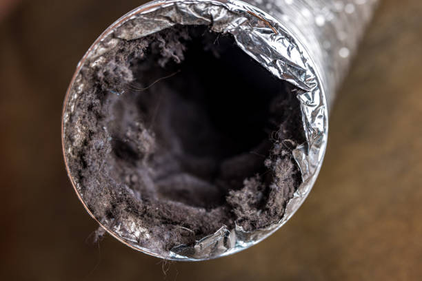 Affordable HVAC Duct Cleaning in Los Ranchos De Albuquerque, NM